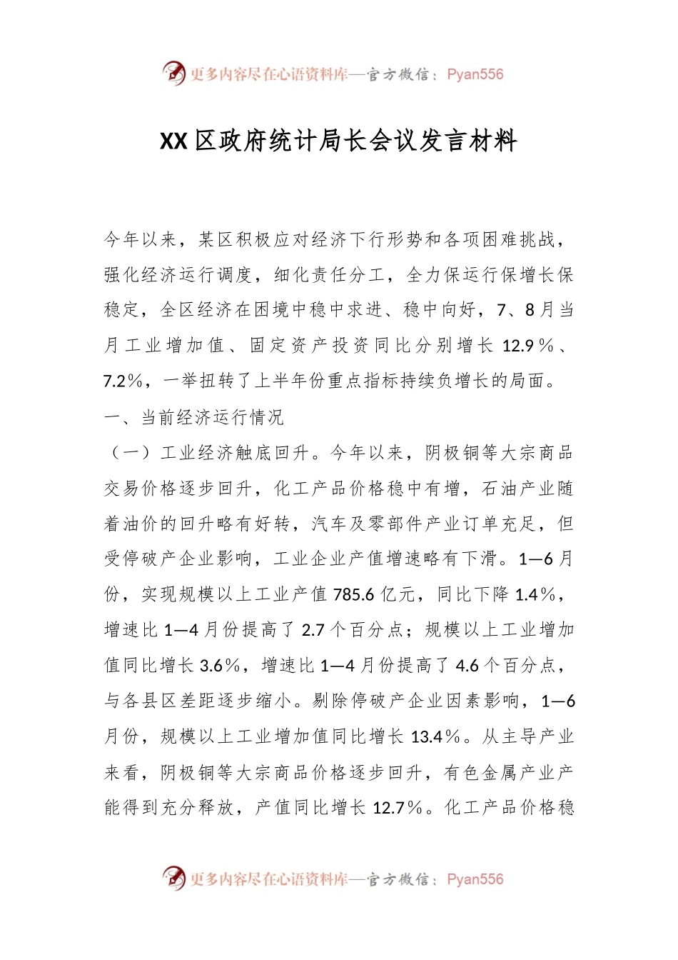 XX区政府统计局长会议发言材料.docx_第1页