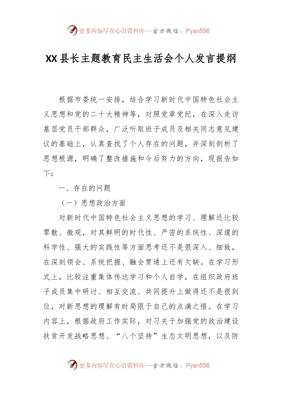 XX县长主题教育民主生活会个人发言提纲.docx_第1页