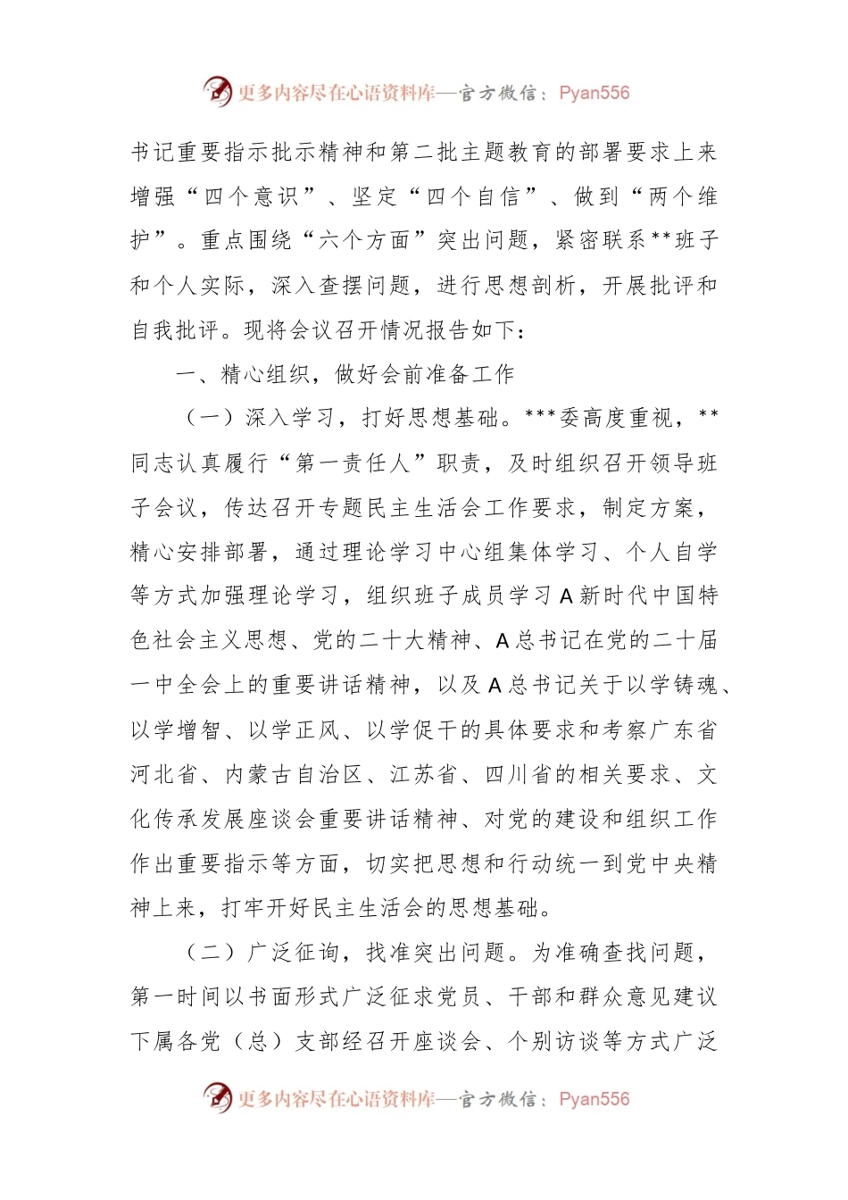2023年在第一批主题教育专题民主生活会召开情况报告.docx_第2页