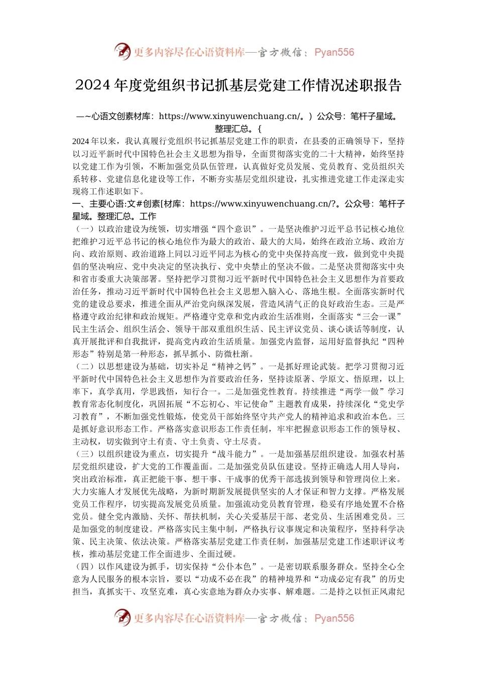 2024年度党组织书记抓基层党建工作情况述职报告.docx_第1页