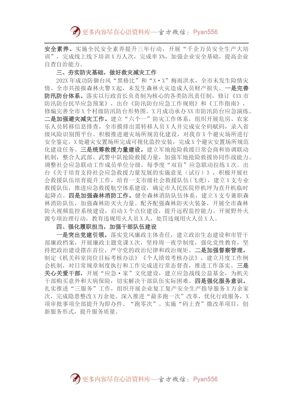 202X年应急管理局工作总结.docx_第2页