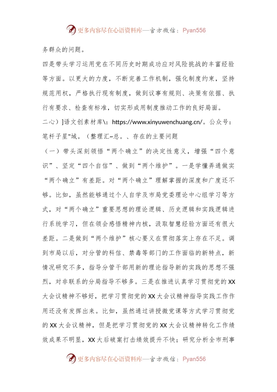 XX市公安局党委班子成员2022年度民主生活会个人对照检查(4617字）.docx_第2页