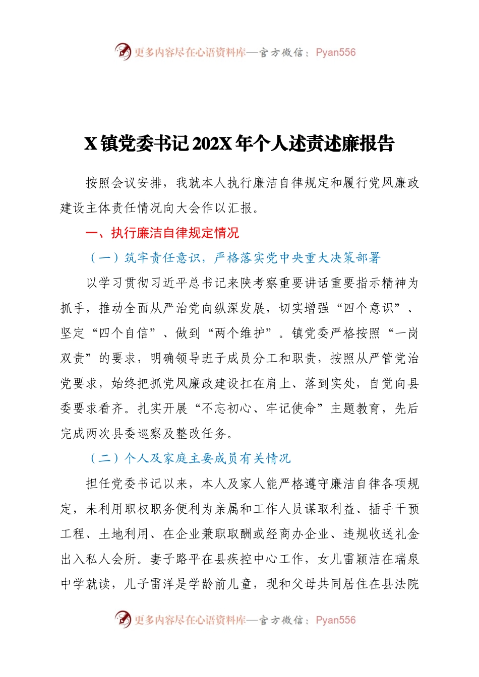 202X年个人述责述廉报告.docx_第1页