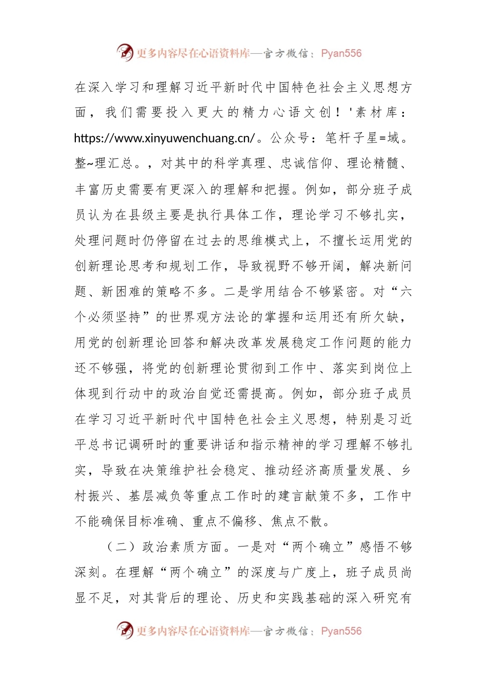 2023年度主题教育专题民主生活会领导班子对照检查材料.docx_第2页