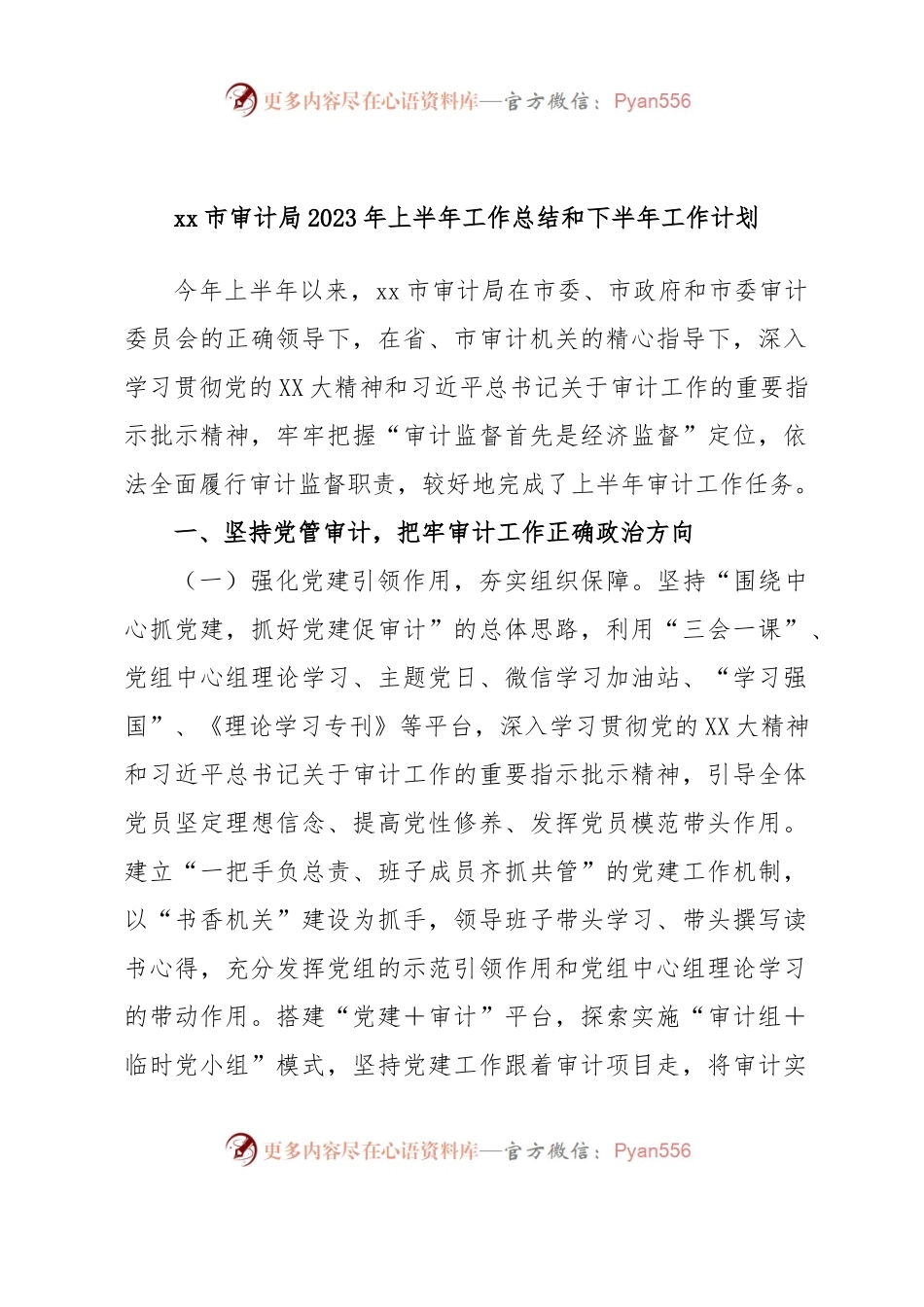 xx市审计局2023年上半年工作总结和下半年工作计划.docx_第1页