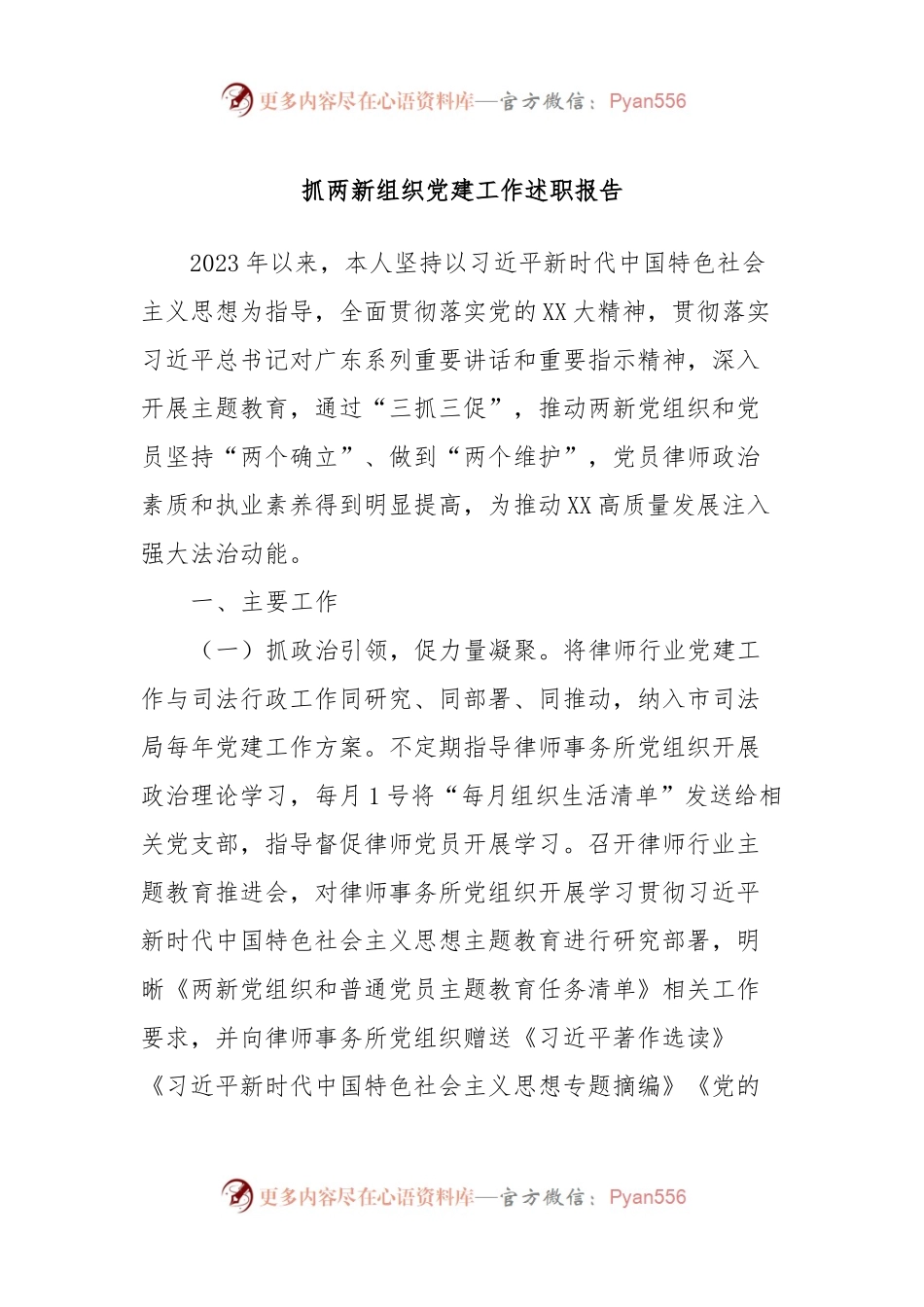 XX市司法局2023年抓两新组织党建工作述职报告.docx_第1页