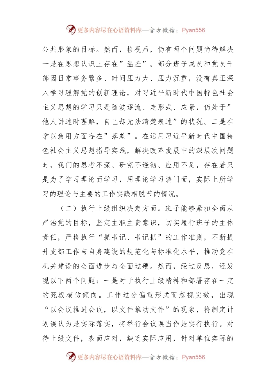 2023年度主题教育组织生活会支部班子发言稿提纲（六个方面）.docx_第2页