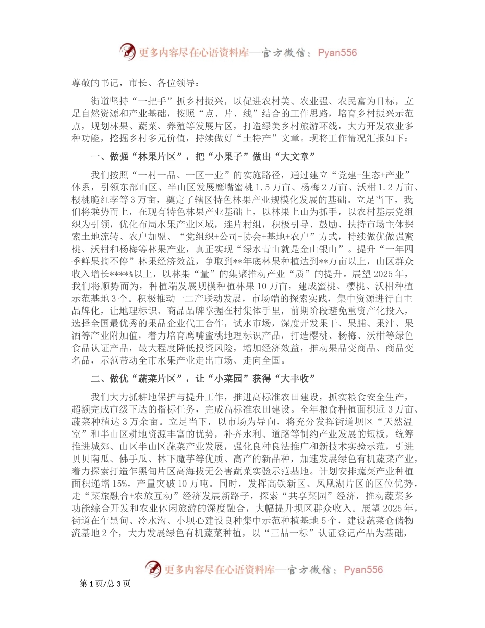 2024年乡村振兴汇报材料.docx_第1页