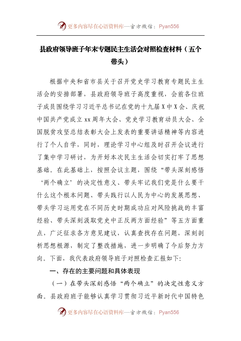56班子2021年专题民主生活会对照检查材料[政府].docx_第1页
