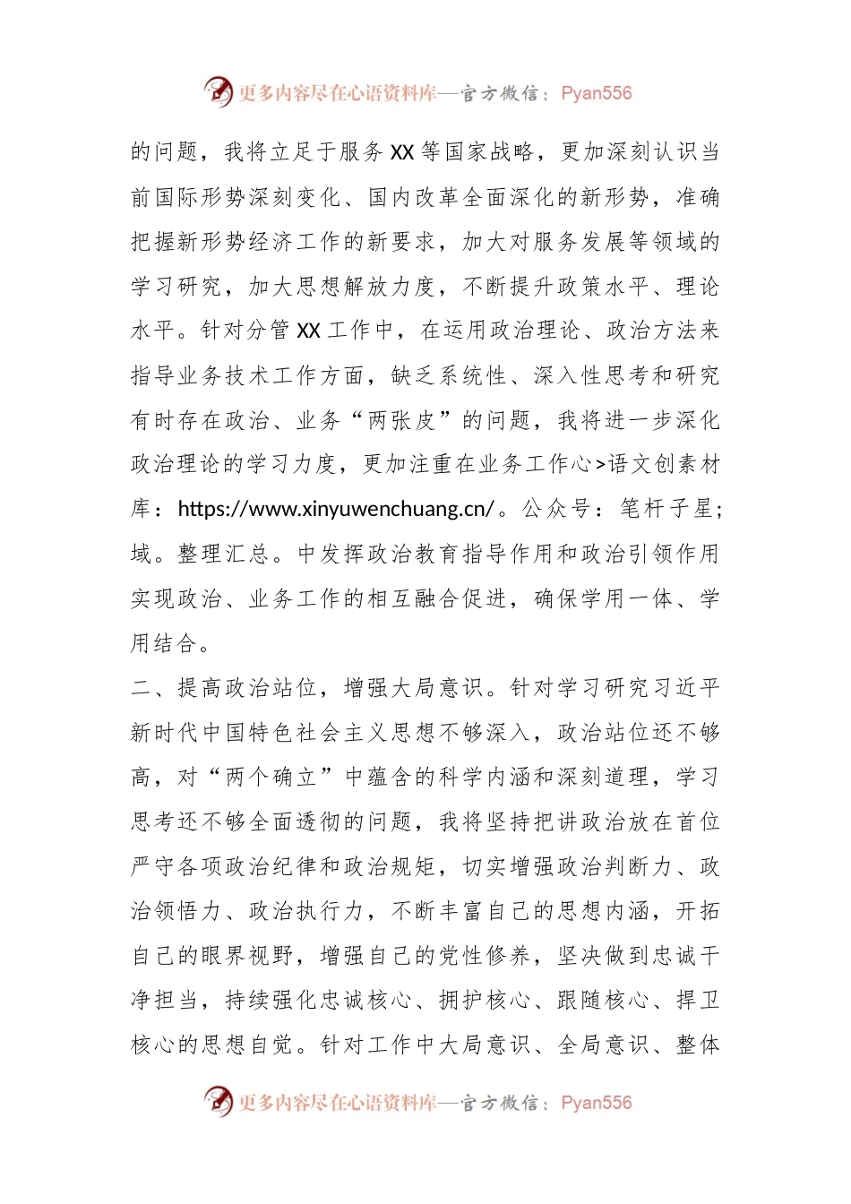202X年度某副局长民主生活会个人整改措施.docx_第2页
