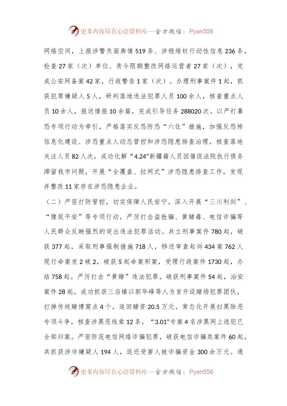 XX市公安局2024年上半年工作总结及下半年工作计划.docx_第2页