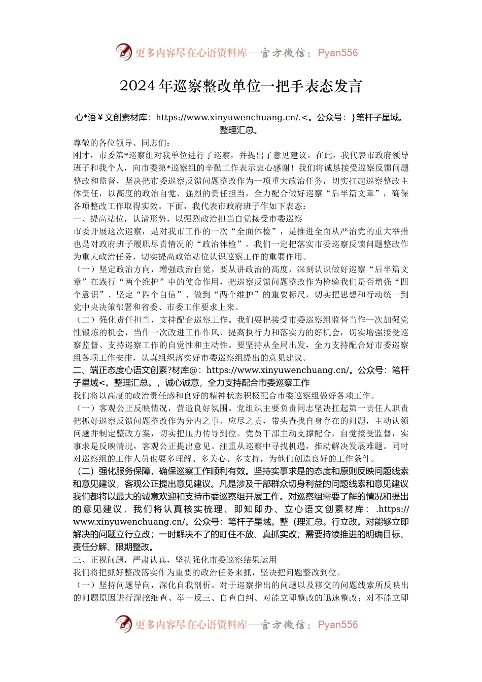 2024年巡察整改单位一把手表态发言.docx_第1页