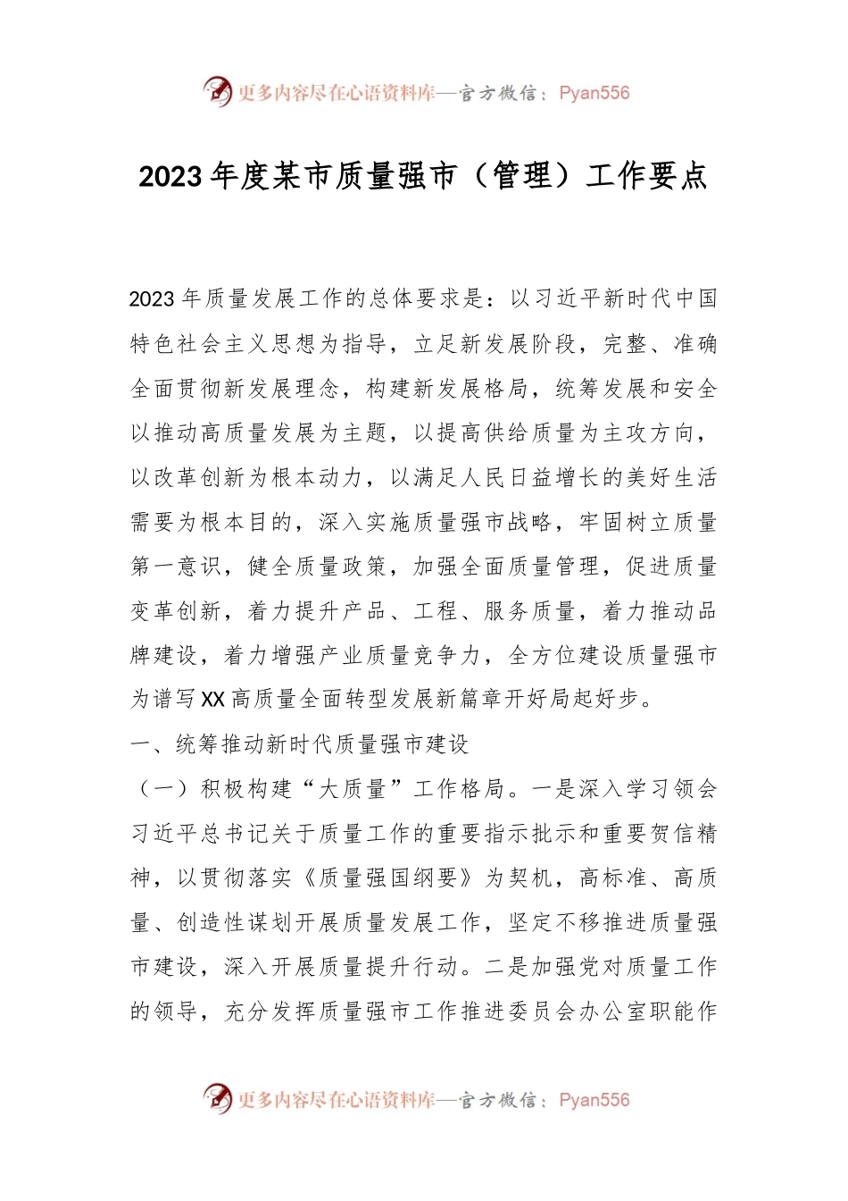 2023年度某市质量强市（管理）工作要点.docx_第1页