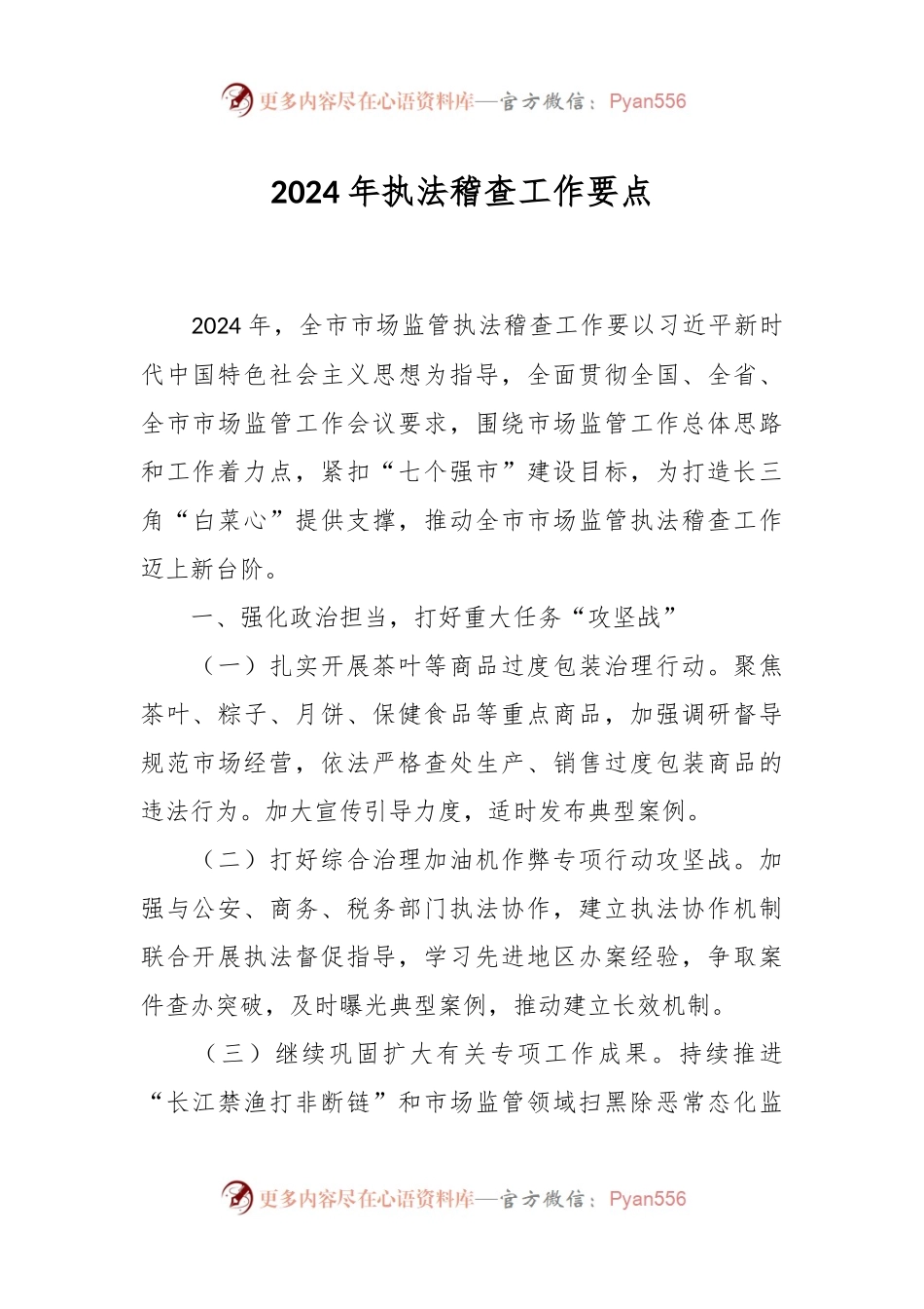 2024年执法稽查工作要点.docx_第1页