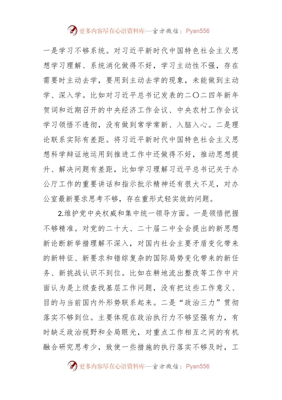 2023年度主题教育专题民主生活会个人对照检查（七个方面、意识形态、上年度整改措施落实情况）.docx_第2页