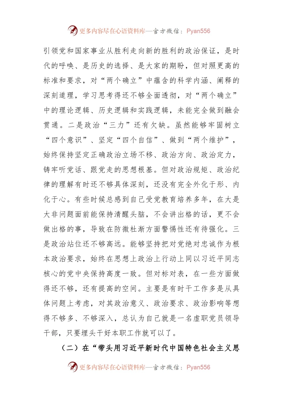 XX市局领导（军转干部）2022年度民主生活会对照检查发言提纲.docx_第2页