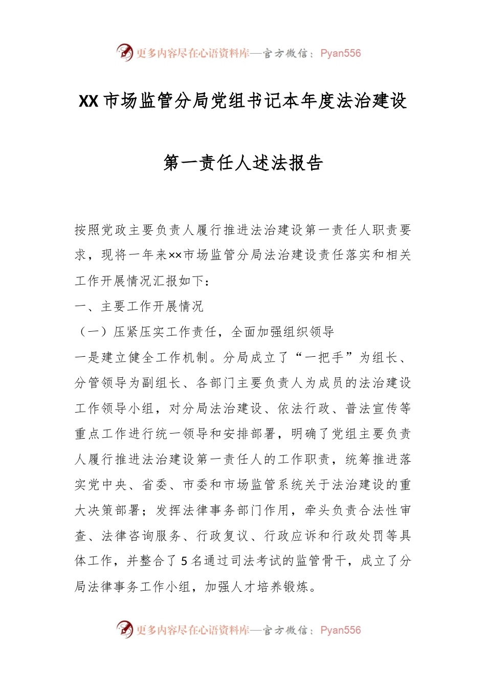 XX市场监管分局党组书记本年度法治建设第一责任人述法报告.docx_第1页