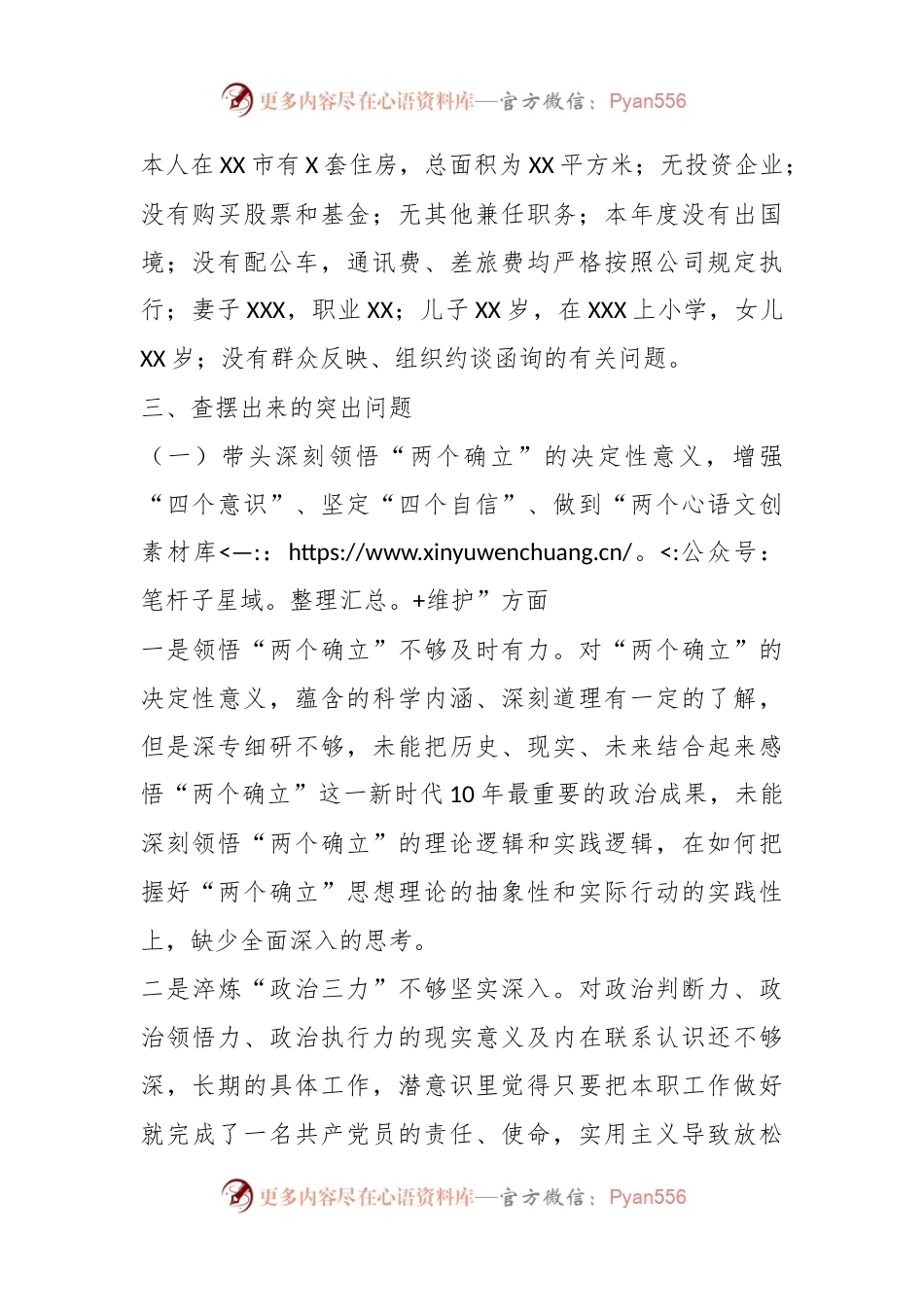 202X年度民主生活会班子成员个人发言提纲.docx_第2页