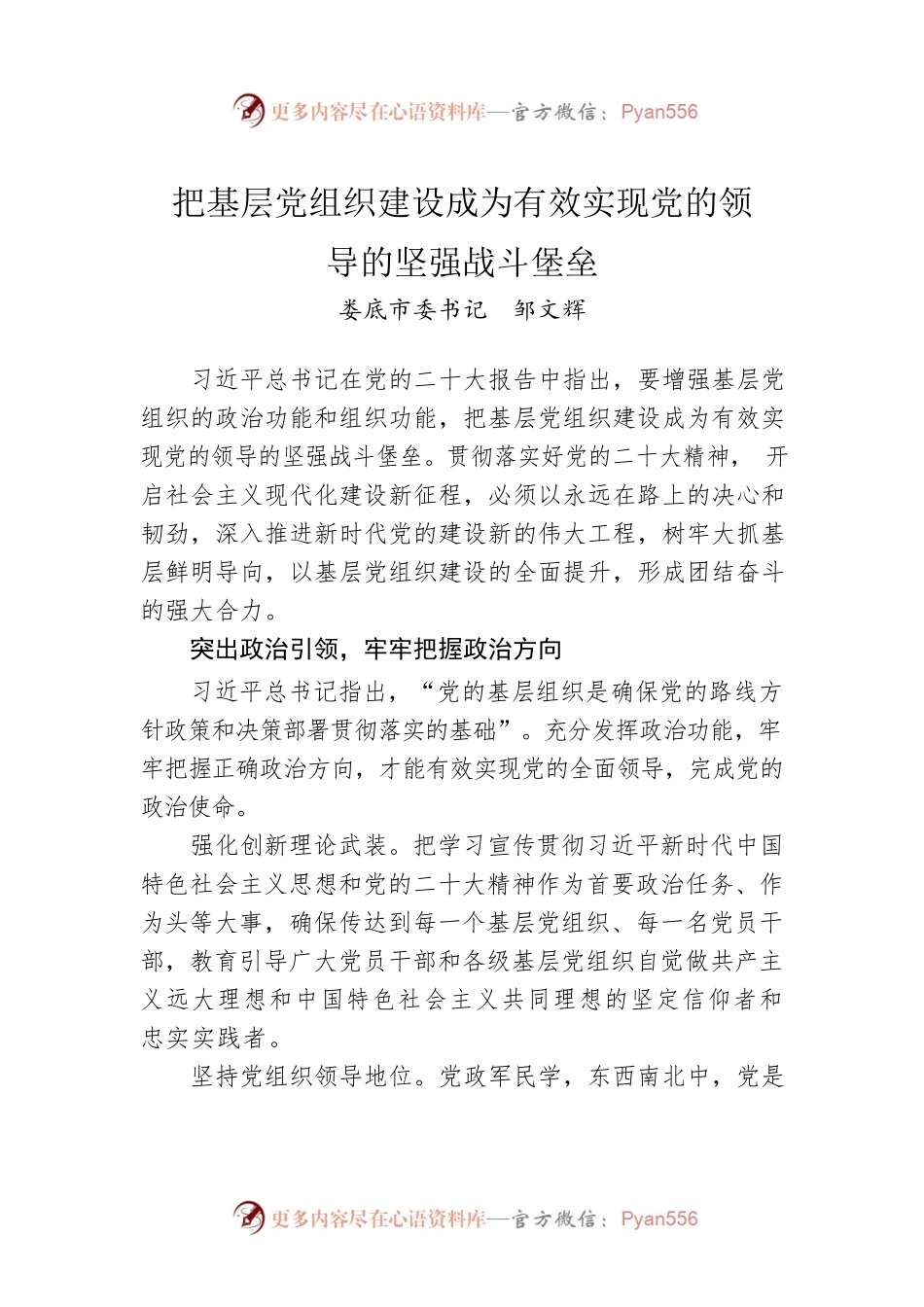 XX市委书记：把基层党组织建设成为有效实现党的领导的坚强战斗堡垒.docx_第1页
