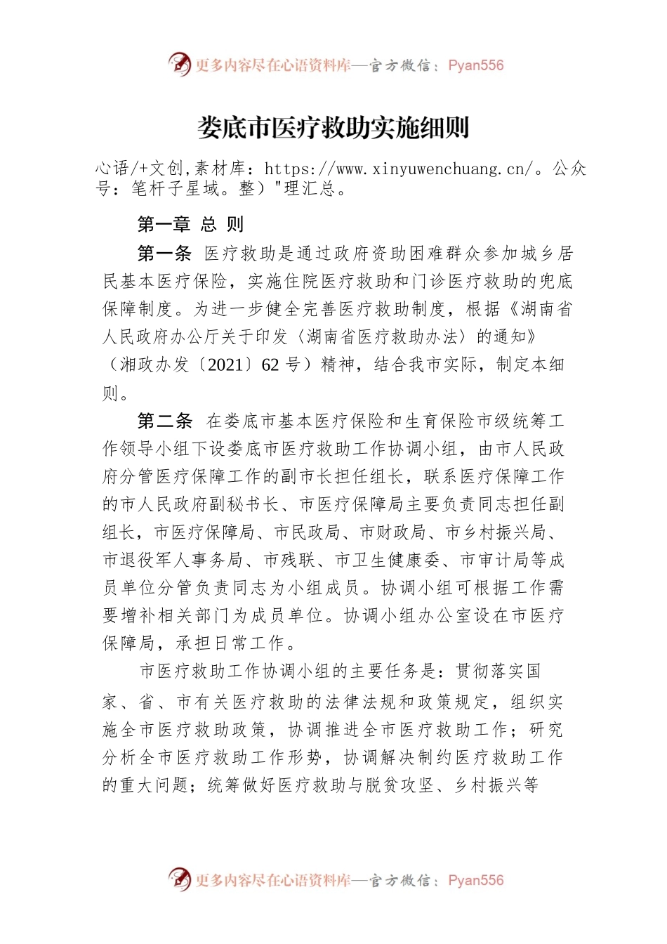 XX市医疗救助实施细则.docx_第1页