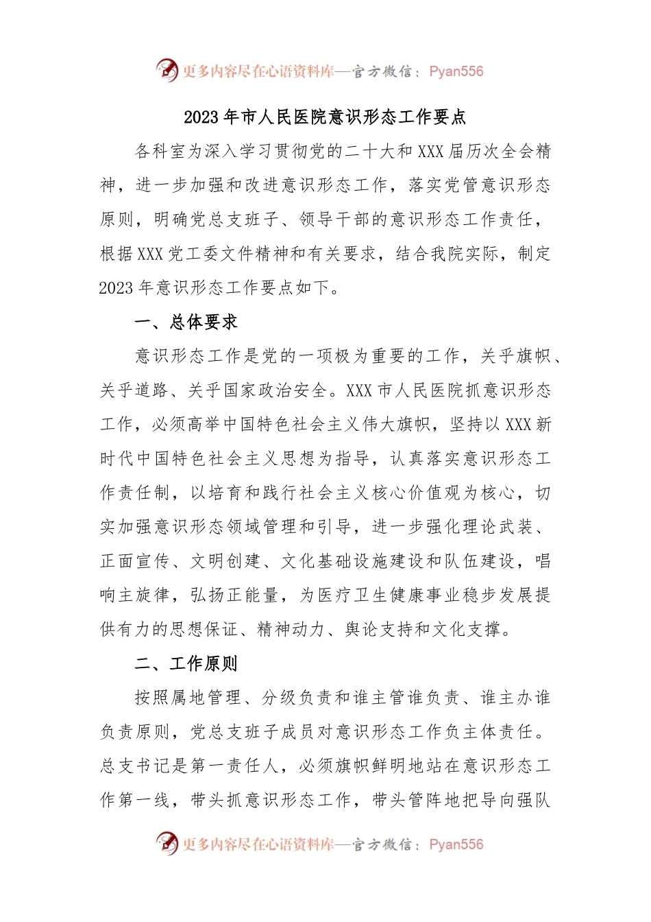 2023年市人民医院意识形态工作要点.docx_第1页