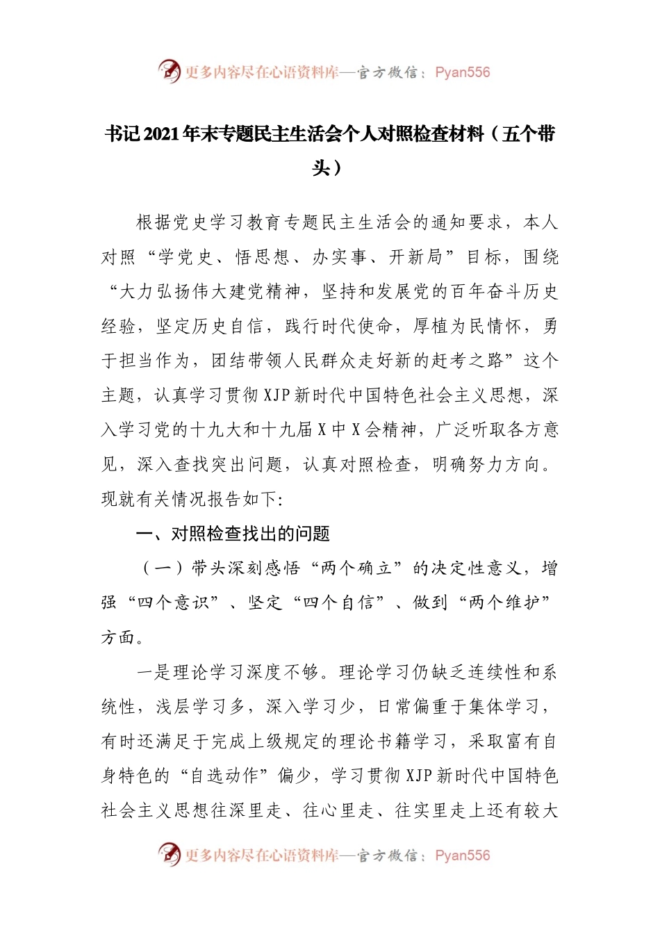 60个人2021年专题民主生活会个人对照检查材料（主要负责人）.docx_第1页