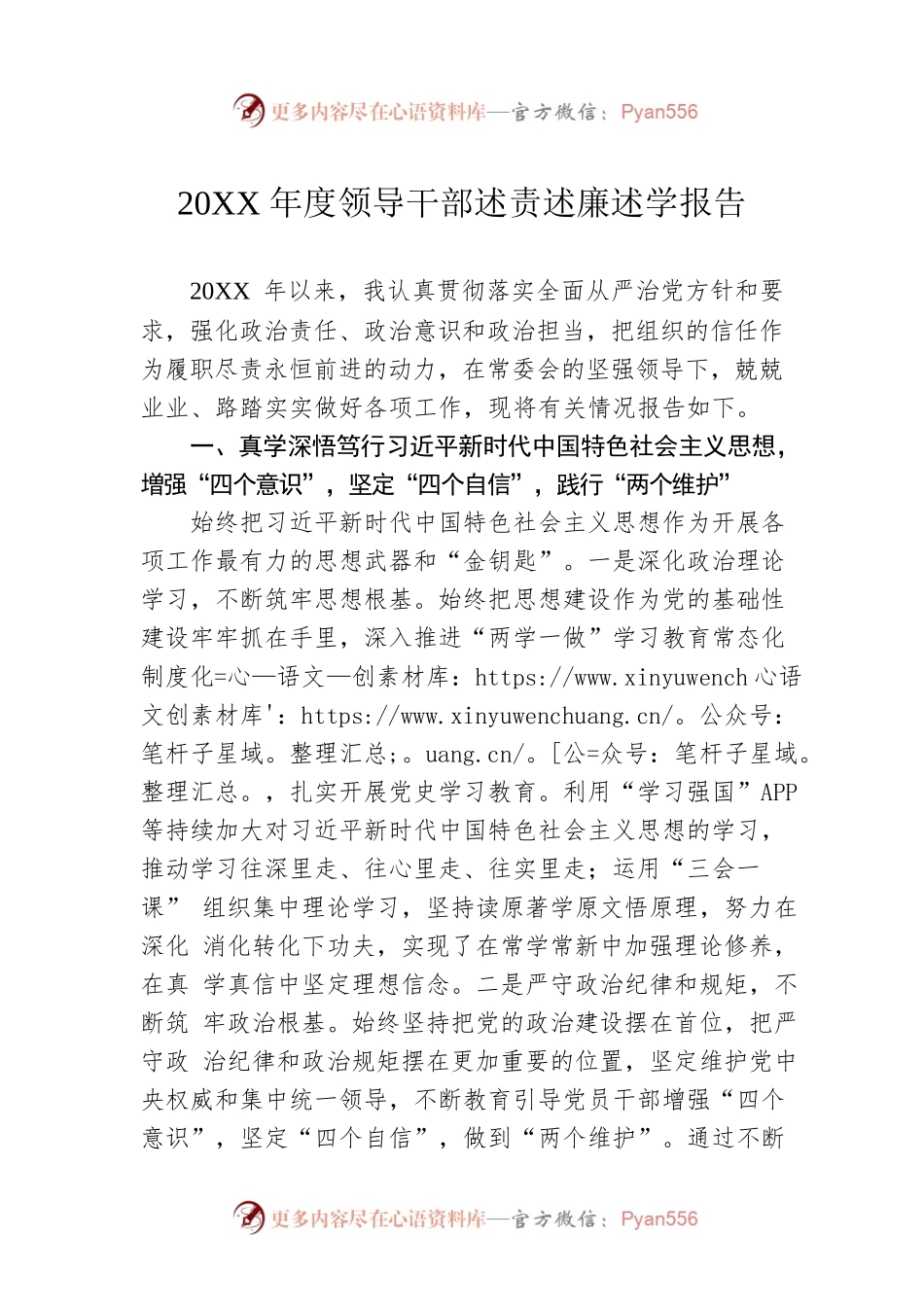 20XX年度领导干部述责述廉述学报告.docx_第1页