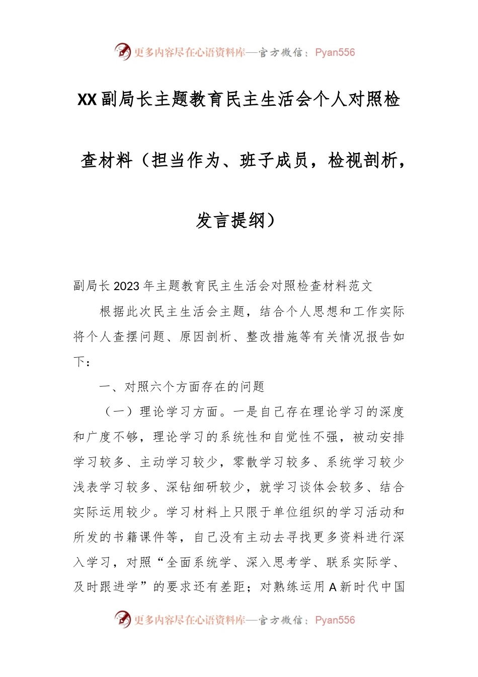 XX副局长主题教育民主生活会个人对照检查材料（担当作为、班子成员，检视剖析，发言提纲）.docx_第1页