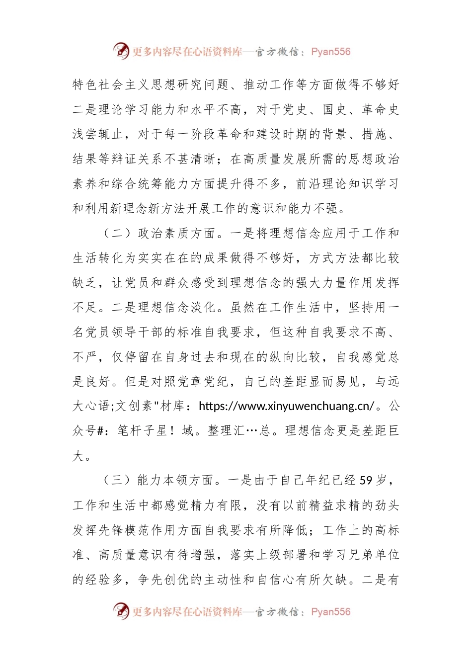 XX副局长主题教育民主生活会个人对照检查材料（担当作为、班子成员，检视剖析，发言提纲）.docx_第2页