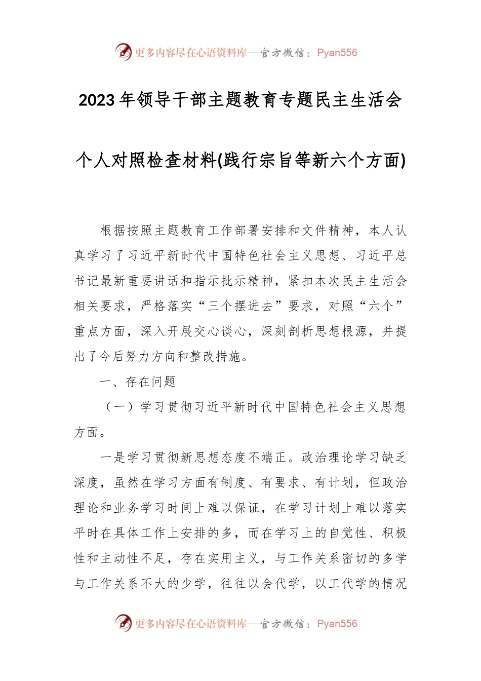 2023年领导干部主题教育专题民主生活会个人对照检查材料(践行宗旨等新六个方面).docx_第1页