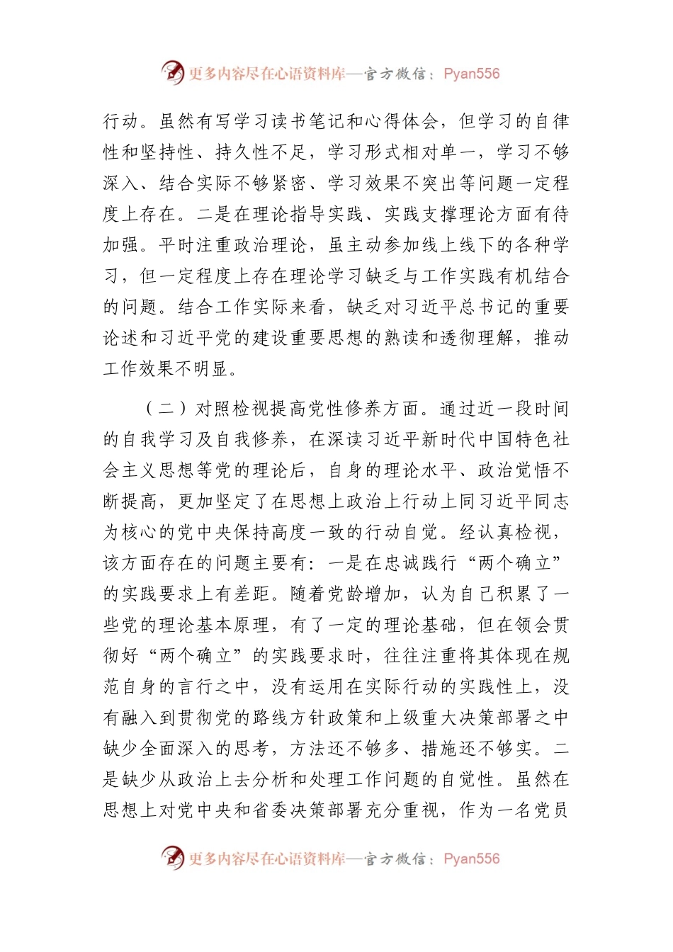 2023年度组织生活会发言提纲5.docx_第2页