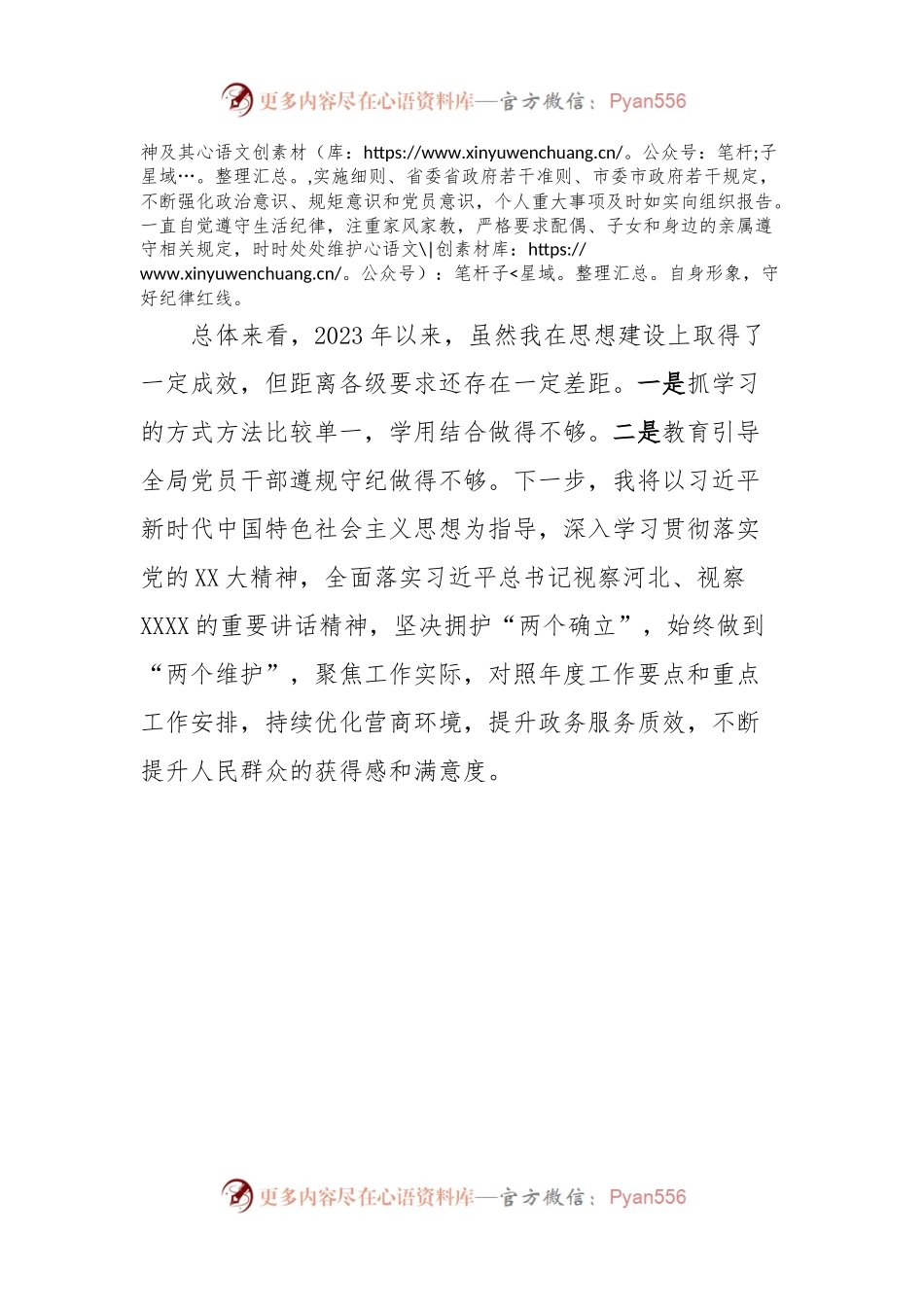 XXX市行政审批局局长思想小结.docx_第2页