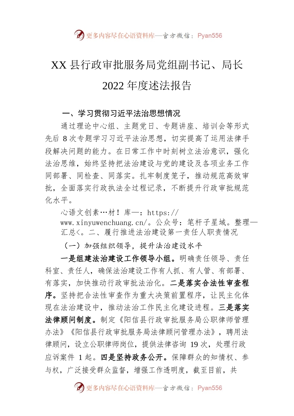 XX县行政审批服务局党组副书记、局长2022年度述法报告（20221121）.docx_第1页