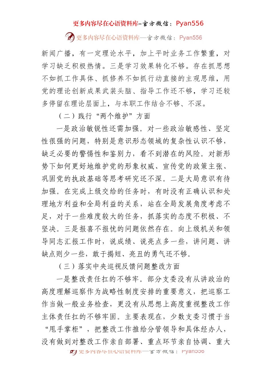 2024年党支部班子巡视巡察工作专题民主生活会对照检查材料（3351字）.docx_第2页