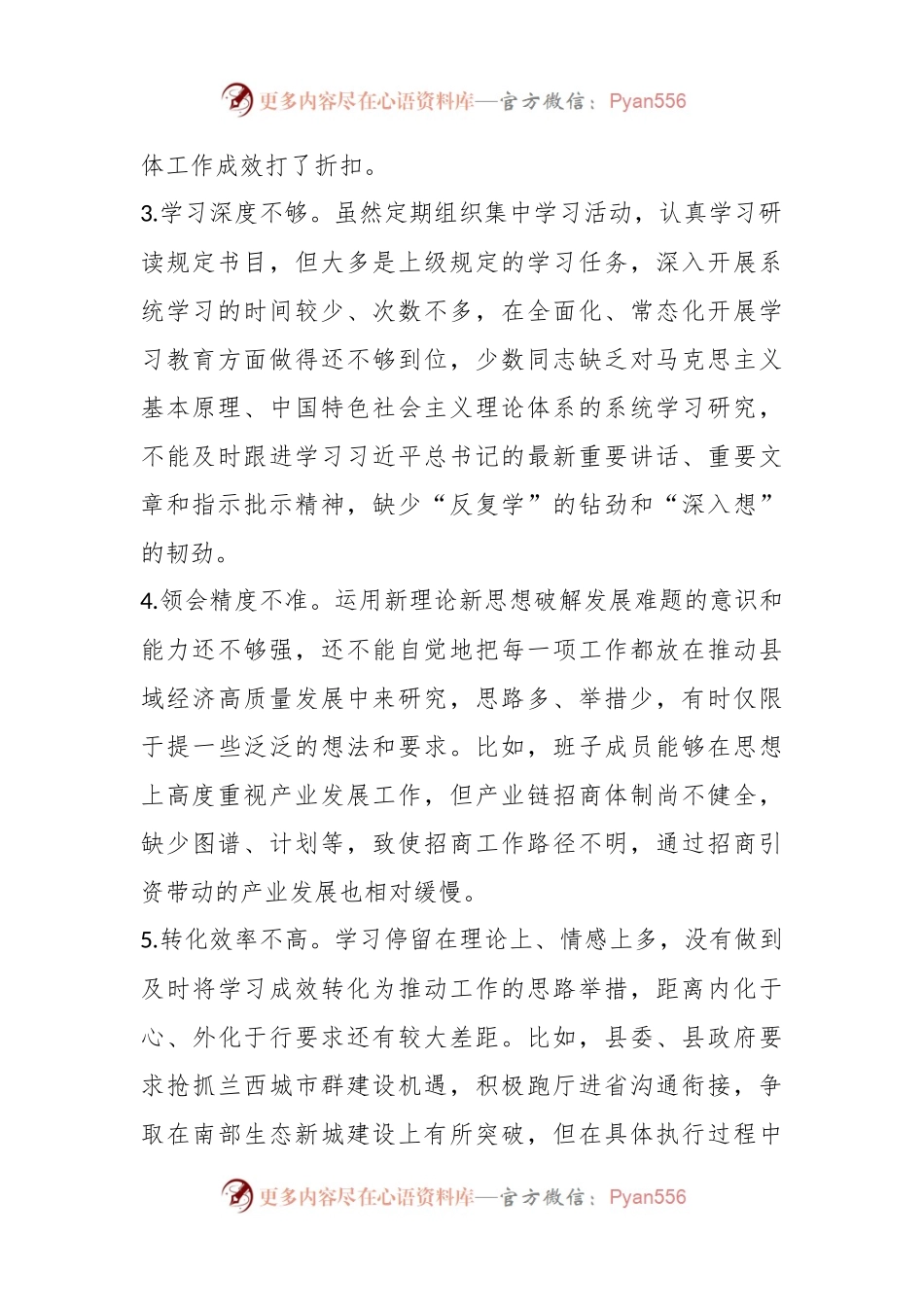 2023年第二批主题教育检视问题清单（存在问题与整改措施）.docx_第2页