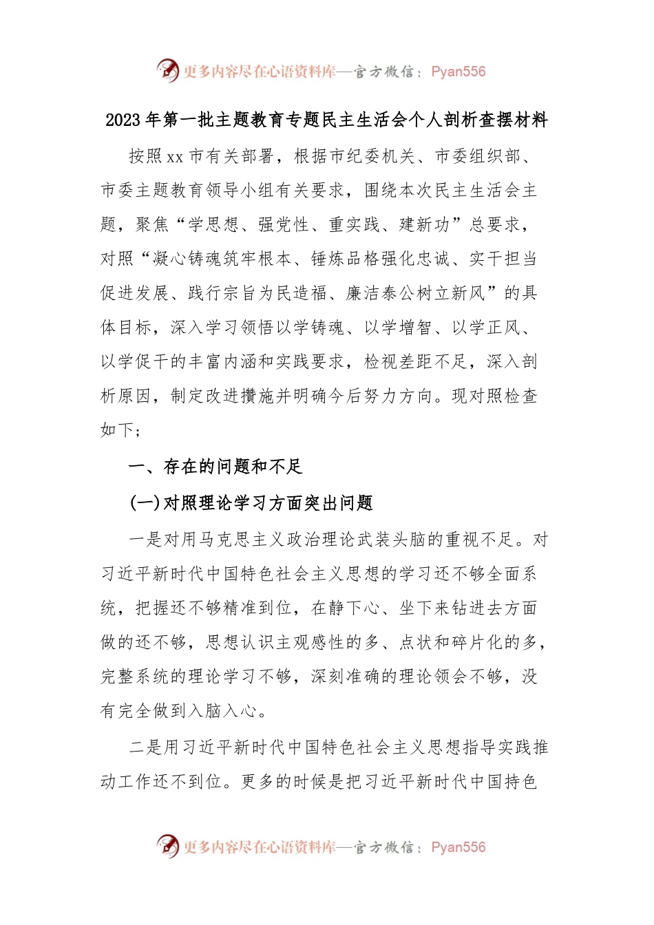 2023年第一批主题教育专题民主生活会个人剖析查摆材料.docx_第1页