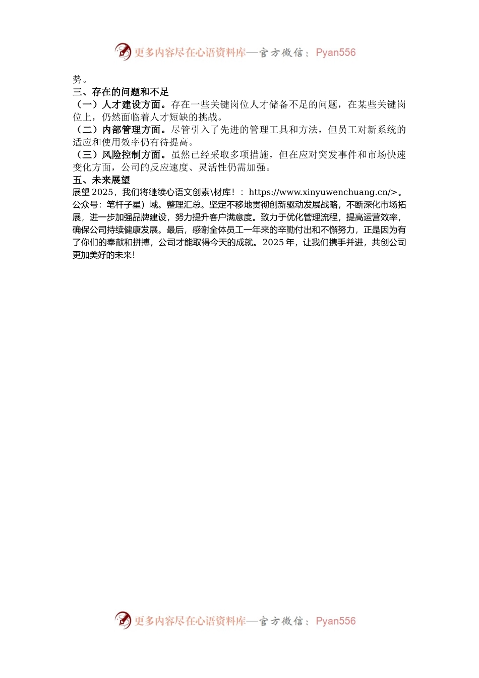 2024年度总经理个人工作总结.docx_第2页