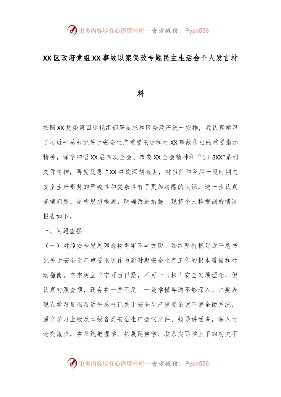 XX区政府党组XX事故以案促改专题民主生活会个人发言材料.docx_第1页