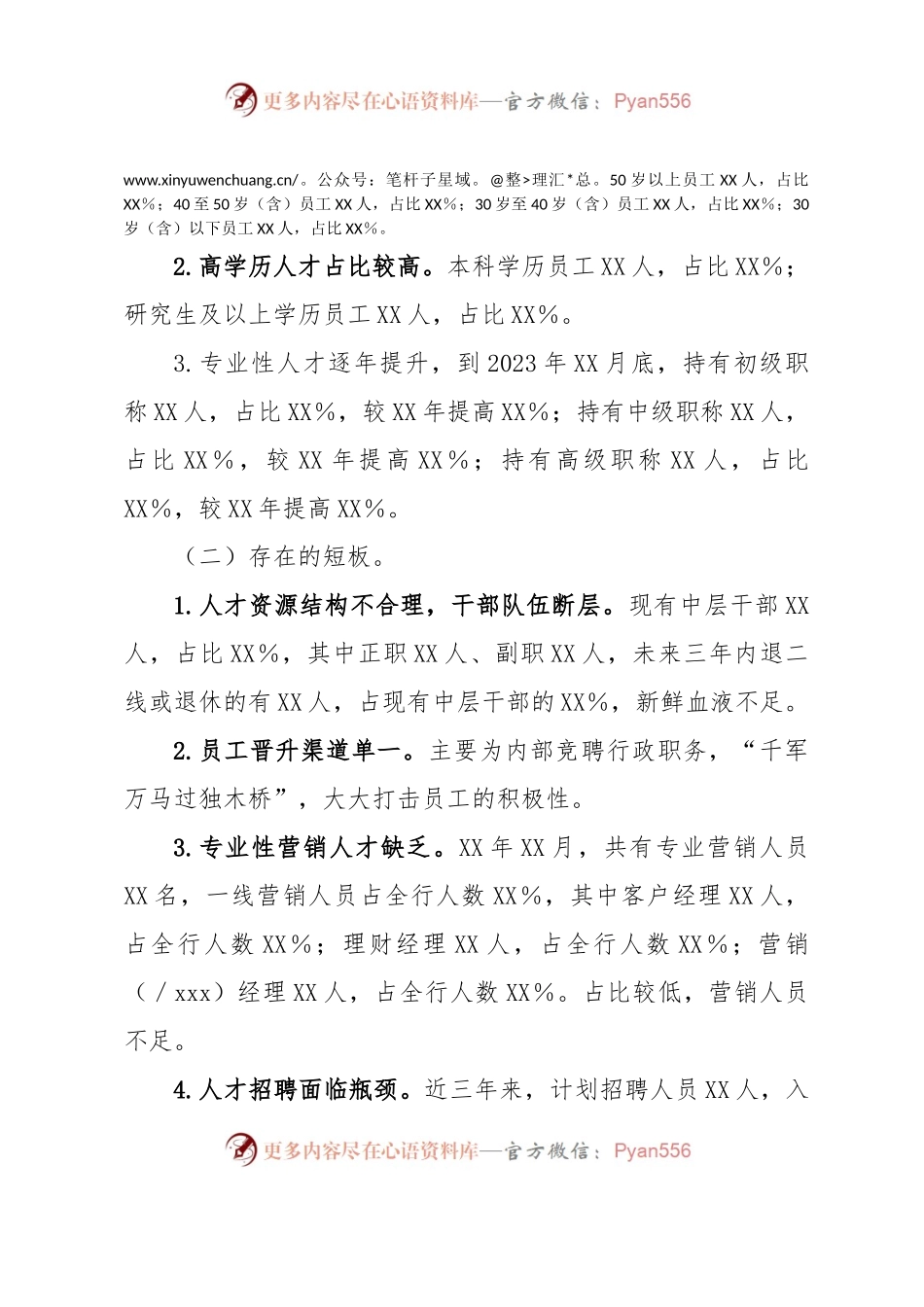 XXX银行人才队伍建设规划.docx_第2页