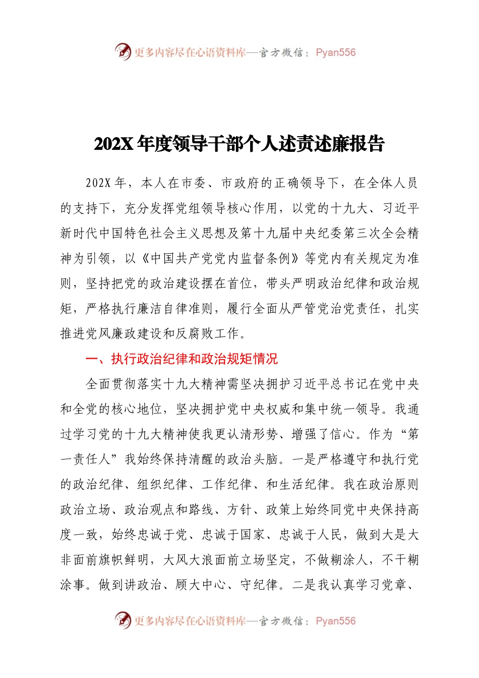202X年度领导干部个人述责述廉报告.docx_第1页