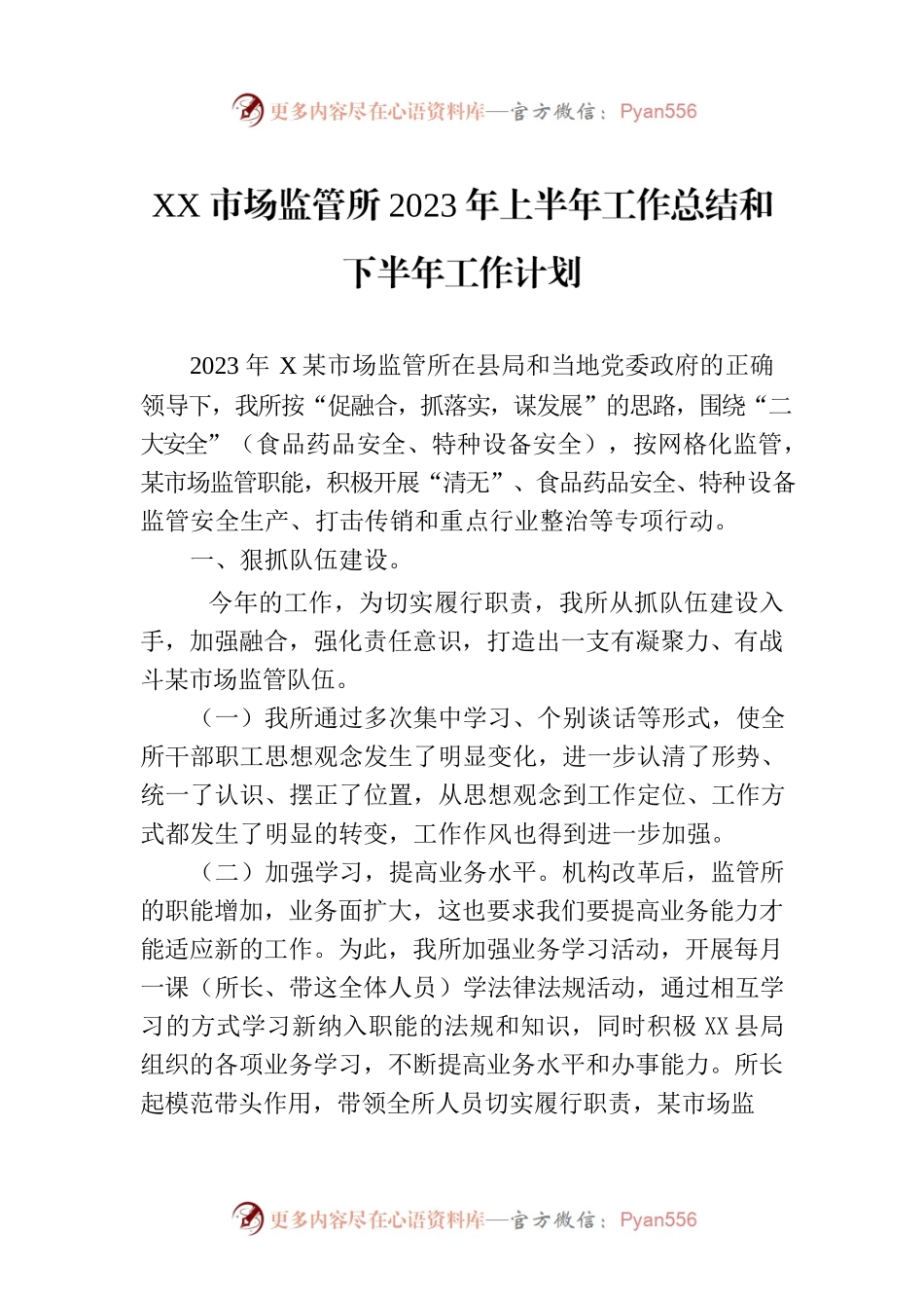 XX市场监管所2023年上半年工作总结和下半年工作计划（20230629）.docx_第1页