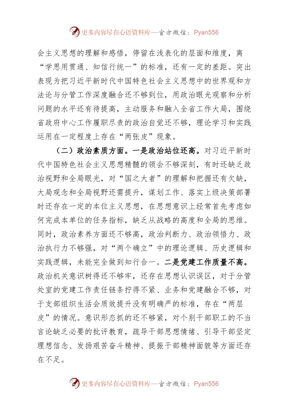 2023年度第二批主题教育民主生活会个人对照检查发言提纲学习素质能力担当作风廉洁检视剖析材料20240102六个方面.docx_第2页