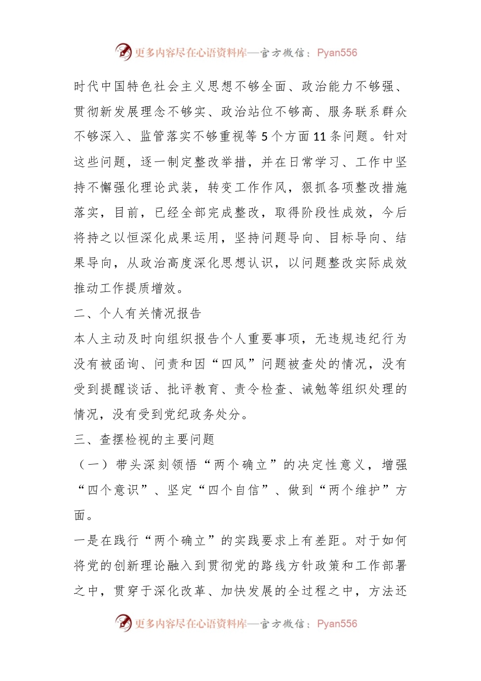 202X年度的民主生活会个人发言提纲（二）.docx_第2页