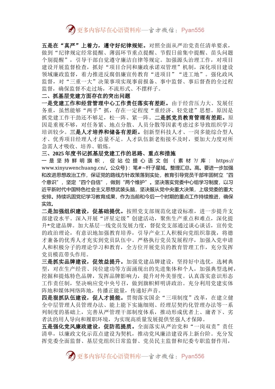 2024年度书记抓基层党建述职报告.docx_第2页