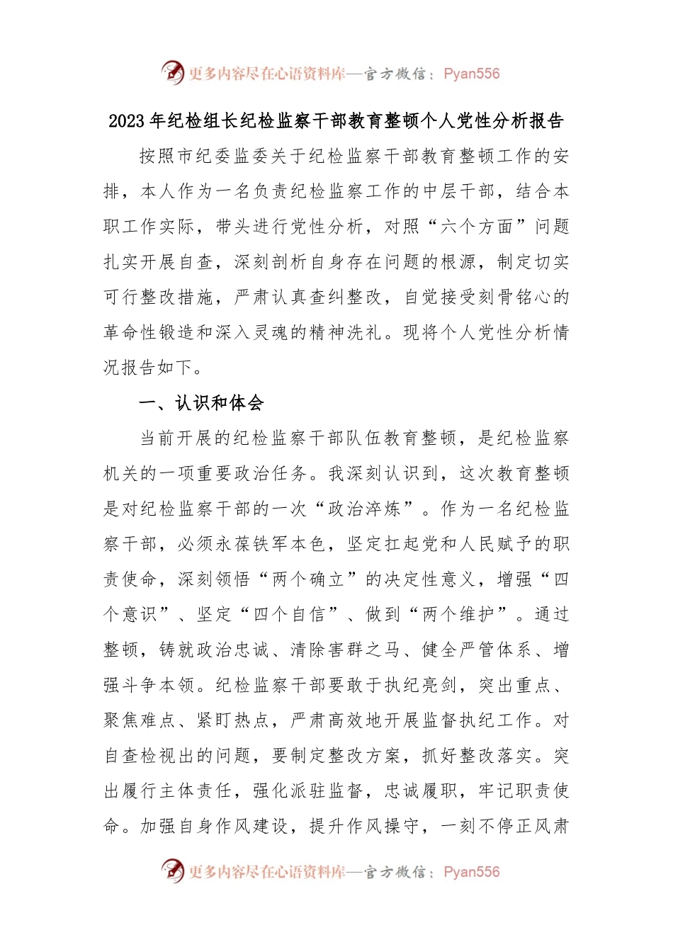 2023年纪检组长纪检监察干部教育整顿个人党性分析报告.docx_第1页