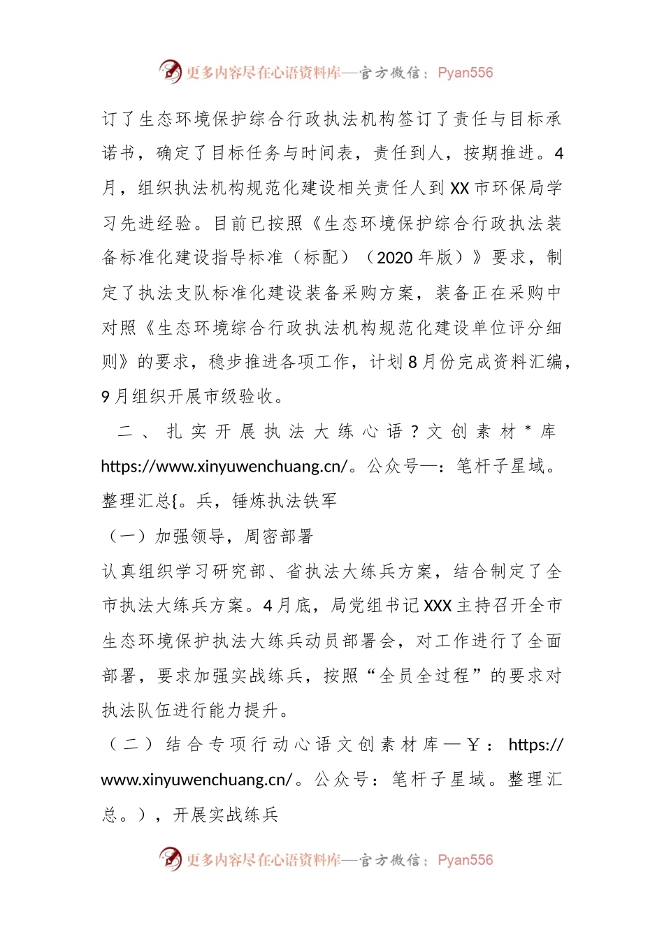 2023年某市执法大练兵半年工作总结.docx_第2页
