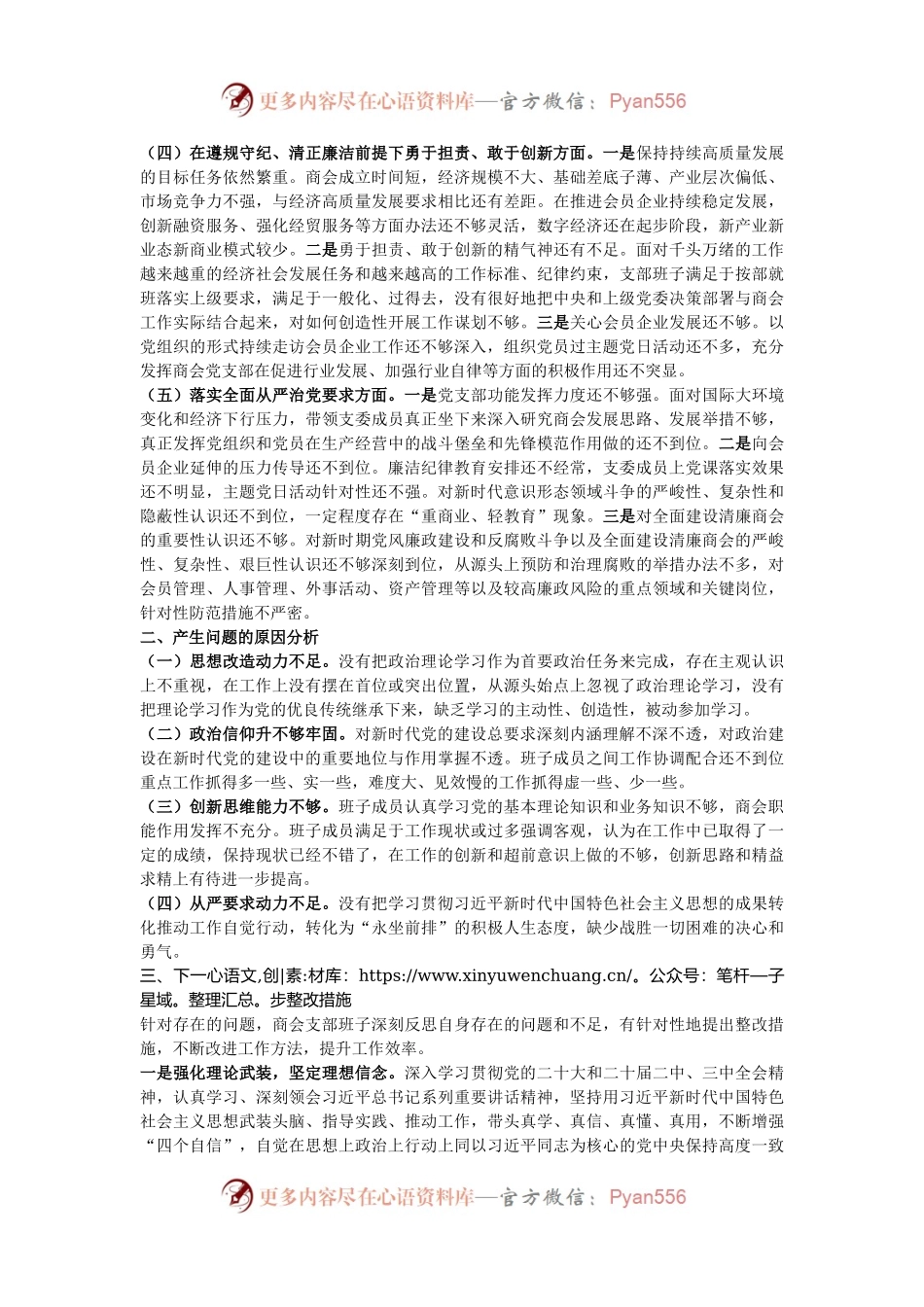 2024年商会支部班子对照检查材料.docx_第2页