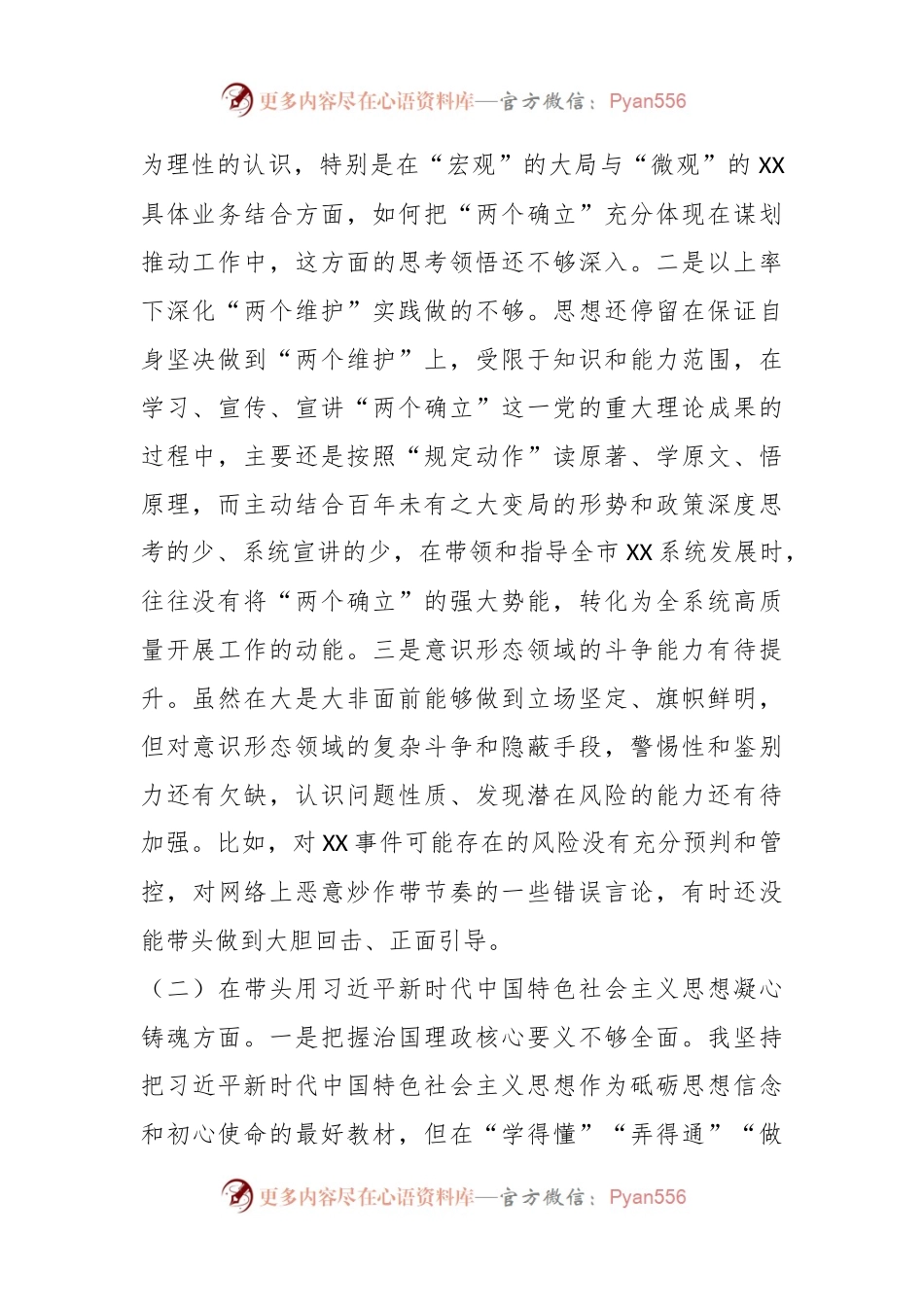 XX市局书民主生活会对照检查材料（全文6525字）.docx_第2页