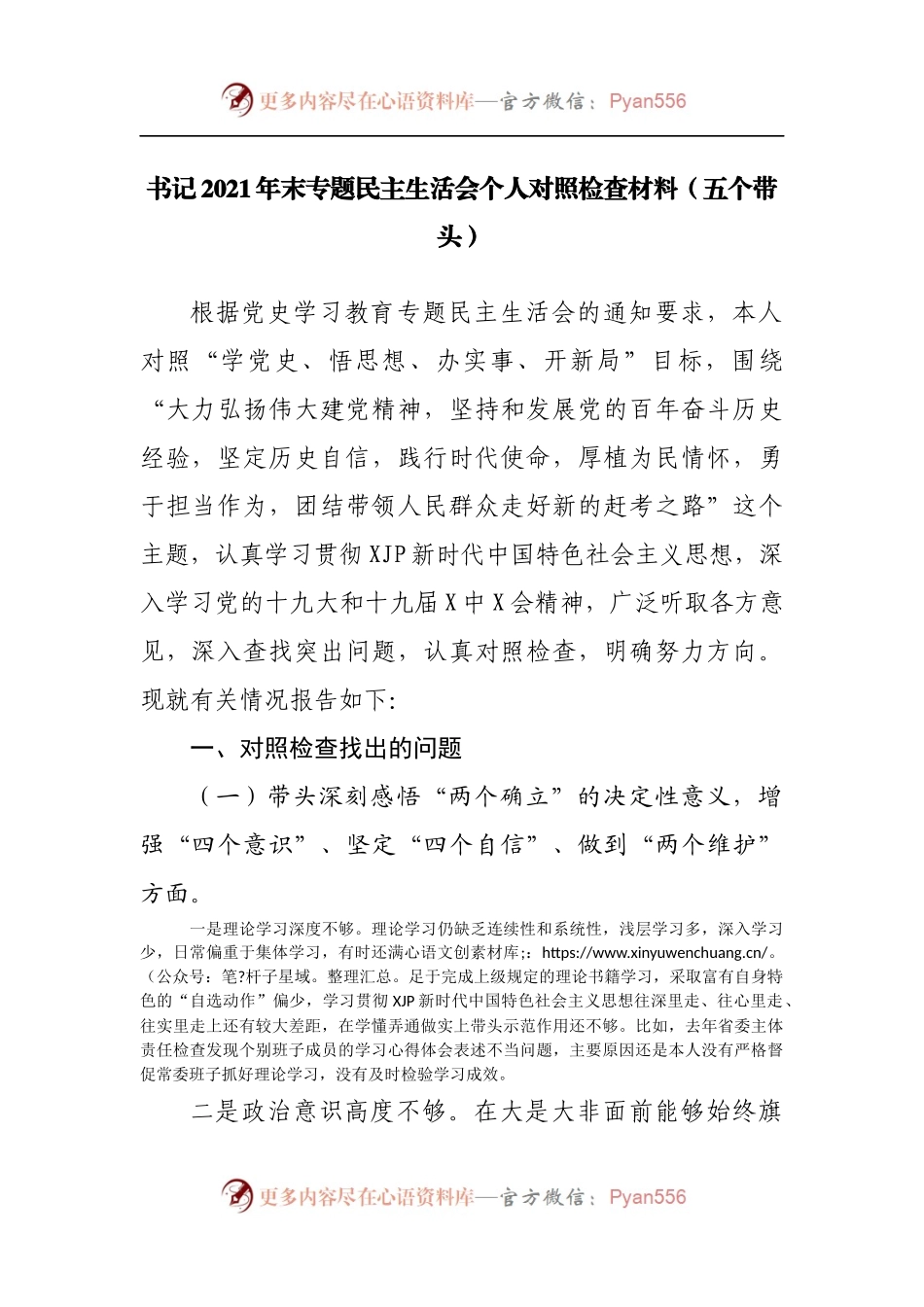60个人2021年专题民主生活会个人对照检查材料[主要负责人].docx_第1页