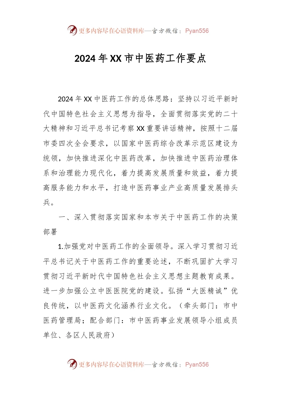 2024年XX市中医药工作要点.docx_第1页